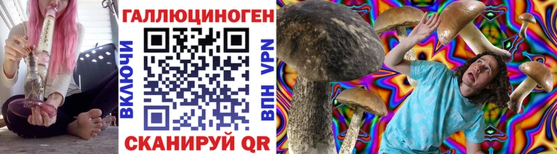 Галлюциногенные грибы GOLDEN TEACHER Купить закладки Кимовск